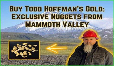 Unveiling The Gold Mine Of Todd Hoffman's Financial Empire